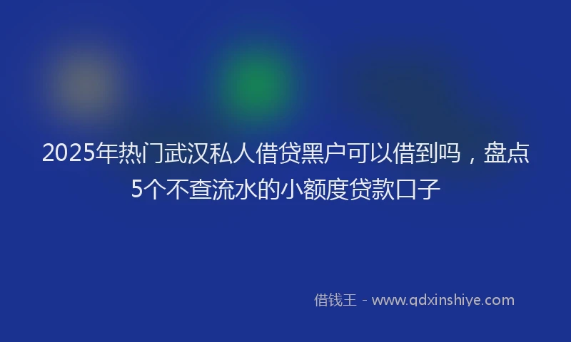2025年热门武汉私人借贷黑户可以借到吗，盘点5个不查流水的小额度贷款口子