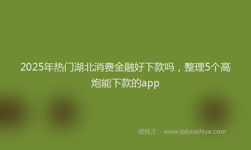 2025年热门湖北消费金融好下款吗，整理5个高炮能下款的app