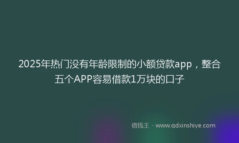 2025年热门没有年龄限制的小额贷款app，整合五个APP容易借款1万块的口子