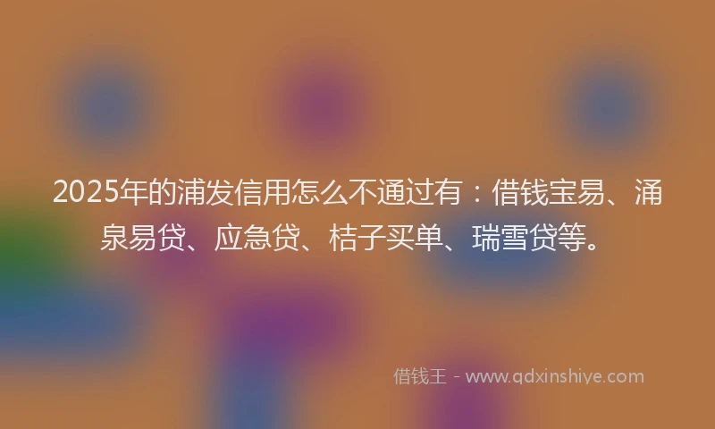 2025年的浦发信用怎么不通过有：借钱宝易、涌泉易贷、应急贷、桔子买单、瑞雪贷等。