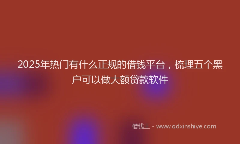 2025年热门有什么正规的借钱平台，梳理五个黑户可以做大额贷款软件