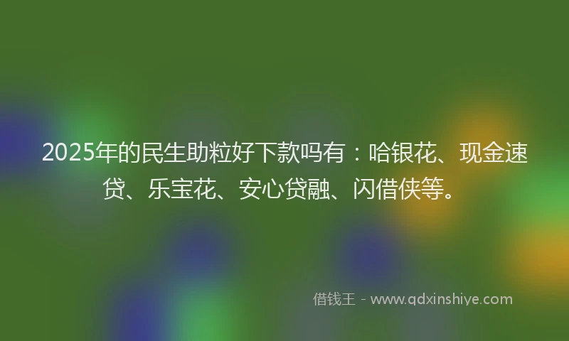 2025年的民生助粒好下款吗有：哈银花、现金速贷、乐宝花、安心贷融、闪借侠等。