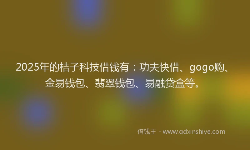 2025年的桔子科技借钱有：功夫快借、gogo购、金易钱包、翡翠钱包、易融贷盒等。