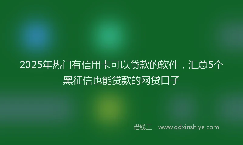 2025年热门有信用卡可以贷款的软件，汇总5个黑征信也能贷款的网贷口子