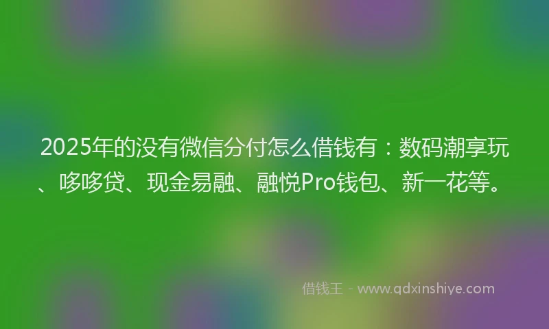 2025年的没有微信分付怎么借钱有：数码潮享玩、哆哆贷、现金易融、融悦Pro钱包、新一花等。