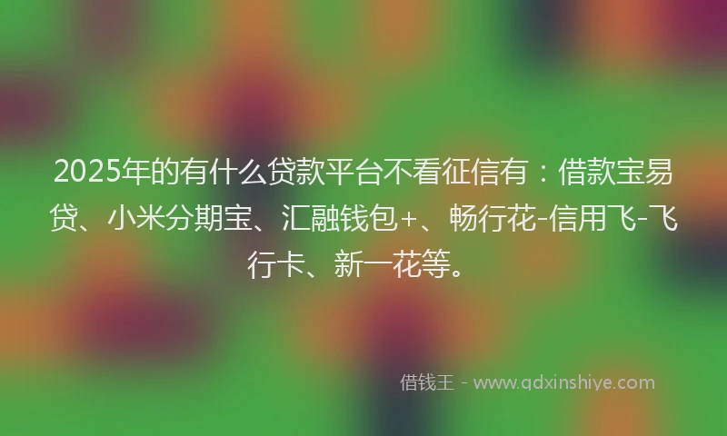 2025年的有什么贷款平台不看征信有：借款宝易贷、小米分期宝、汇融钱包+、畅行花-信用飞-飞行卡、新一花等。