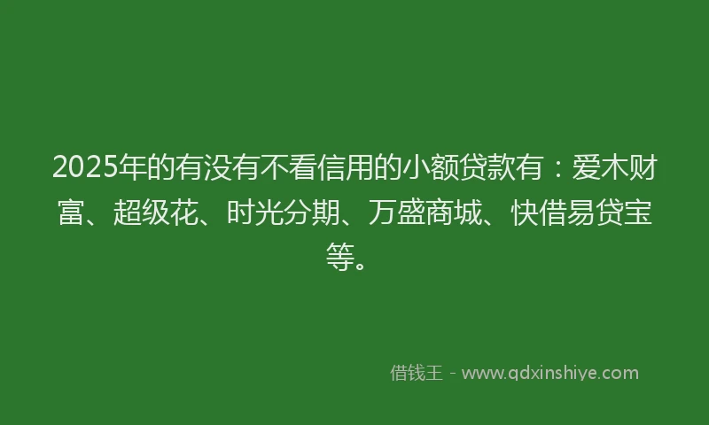 2025年的有没有不看信用的小额贷款有：爱木财富、超级花、时光分期、万盛商城、快借易贷宝等。