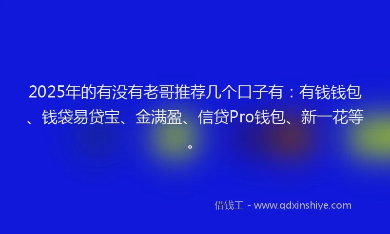 2025年的有没有老哥推荐几个口子有：有钱钱包、钱袋易贷宝、金满盈、信贷Pro钱包、新一花等。