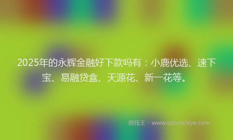 2025年的永辉金融好下款吗有：小鹿优选、速下宝、易融贷盒、天源花、新一花等。