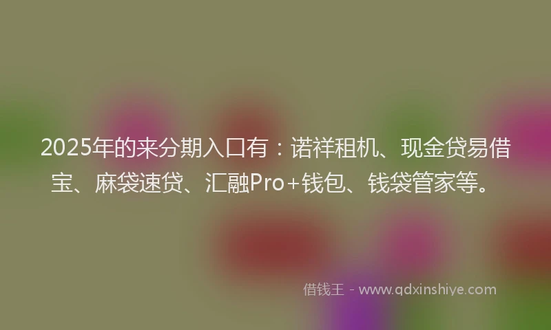 2025年的来分期入口有：诺祥租机、现金贷易借宝、麻袋速贷、汇融Pro+钱包、钱袋管家等。