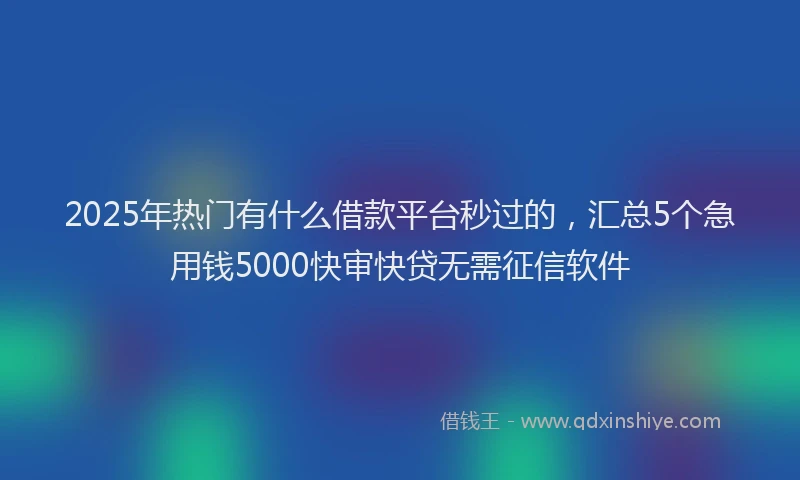 2025年热门有什么借款平台秒过的，汇总5个急用钱5000快审快贷无需征信软件