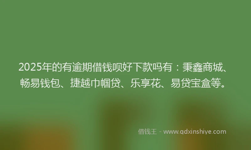 2025年的有逾期借钱呗好下款吗有：秉鑫商城、畅易钱包、捷越巾帼贷、乐享花、易贷宝盒等。