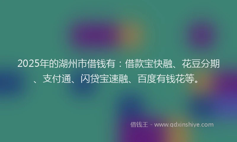 2025年的湖州市借钱有：借款宝快融、花豆分期、支付通、闪贷宝速融、百度有钱花等。