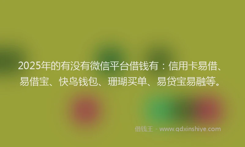 2025年的有没有微信平台借钱有：信用卡易借、易借宝、快鸟钱包、珊瑚买单、易贷宝易融等。