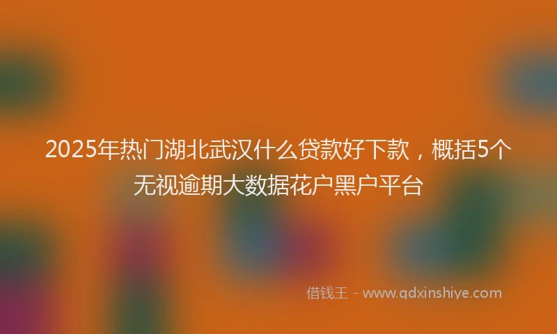 2025年热门湖北武汉什么贷款好下款，概括5个无视逾期大数据花户黑户平台