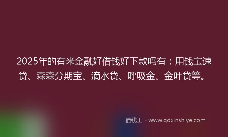 2025年的有米金融好借钱好下款吗有：用钱宝速贷、森森分期宝、滴水贷、呼吸金、金叶贷等。