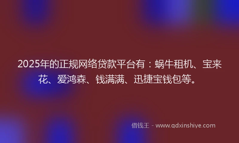 2025年的正规网络贷款平台有：蜗牛租机、宝来花、爱鸿森、钱满满、迅捷宝钱包等。