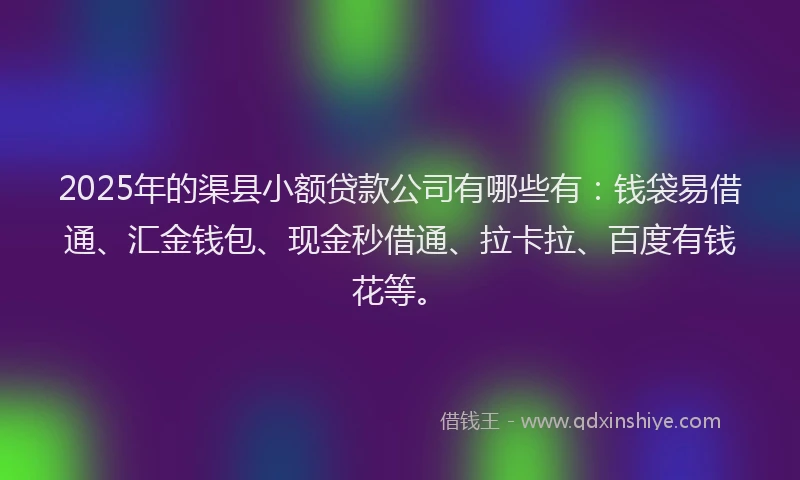 2025年的渠县小额贷款公司有哪些有：钱袋易借通、汇金钱包、现金秒借通、拉卡拉、百度有钱花等。