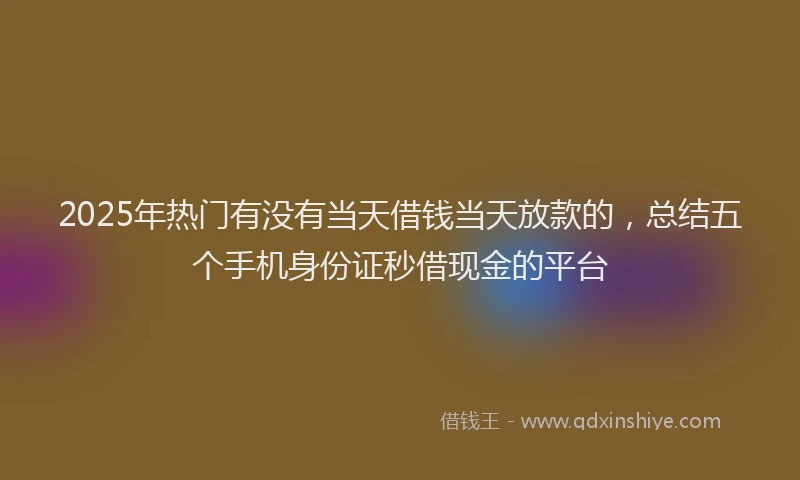 2025年热门有没有当天借钱当天放款的，总结五个手机身份证秒借现金的平台