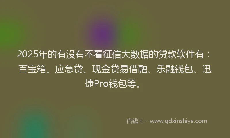 2025年的有没有不看征信大数据的贷款软件有：百宝箱、应急贷、现金贷易借融、乐融钱包、迅捷Pro钱包等。