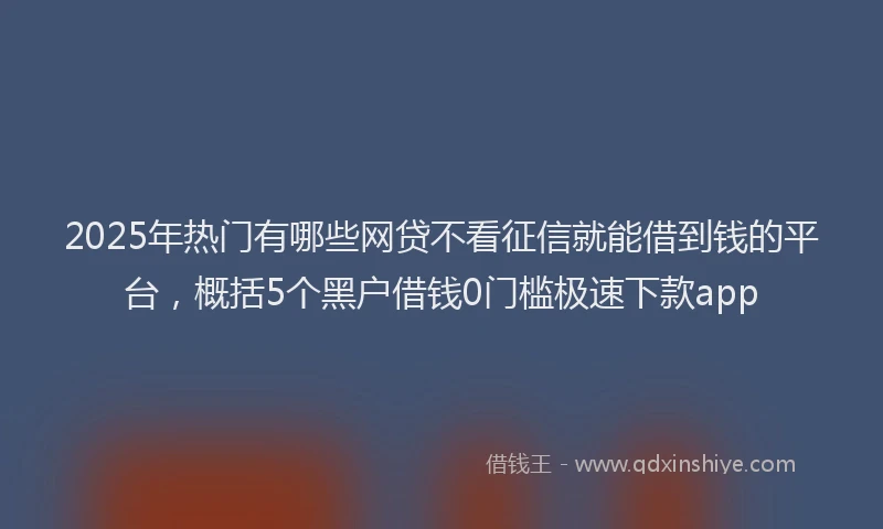 2025年热门有哪些网贷不看征信就能借到钱的平台，概括5个黑户借钱0门槛极速下款app