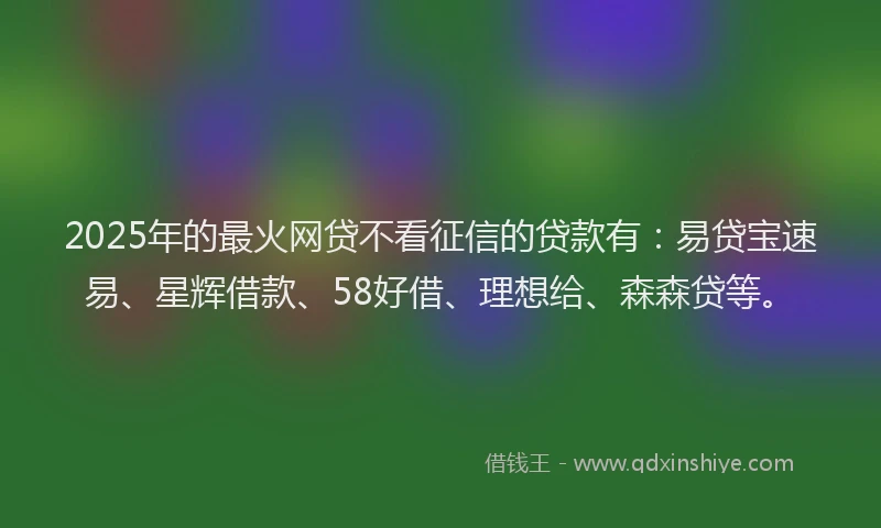 2025年的最火网贷不看征信的贷款有:易贷宝速易、星辉借款、58好借、理想给、森森贷等。