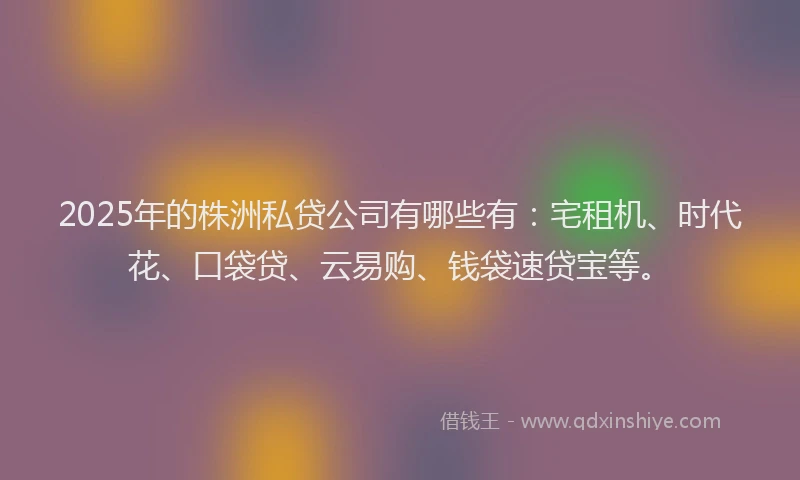 2025年的株洲私贷公司有哪些有：宅租机、时代花、口袋贷、云易购、钱袋速贷宝等。