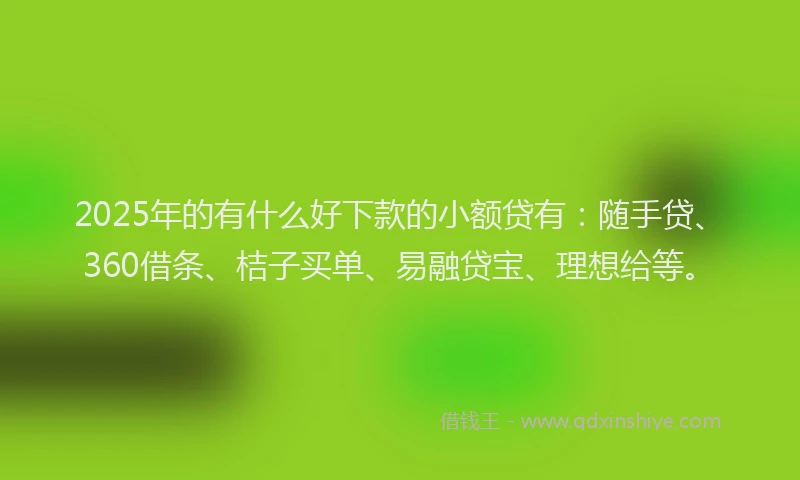 2025年的有什么好下款的小额贷有：随手贷、360借条、桔子买单、易融贷宝、理想给等。