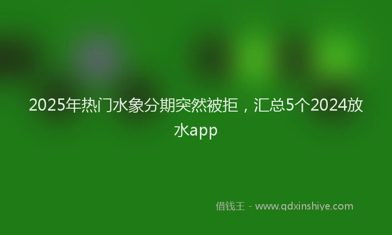 2025年热门水象分期突然被拒，汇总5个2024放水app