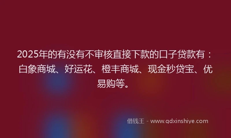 2025年的有没有不审核直接下款的口子贷款有：白象商城、好运花、橙丰商城、现金秒贷宝、优易购等。