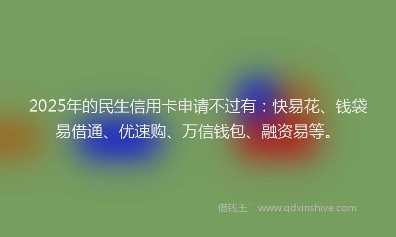 2025年的民生信用卡申请不过有：快易花、钱袋易借通、优速购、万信钱包、融资易等。