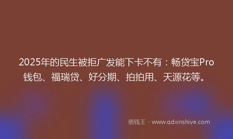 2025年的民生被拒广发能下卡不有：畅贷宝Pro钱包、福瑞贷、好分期、拍拍用、天源花等。