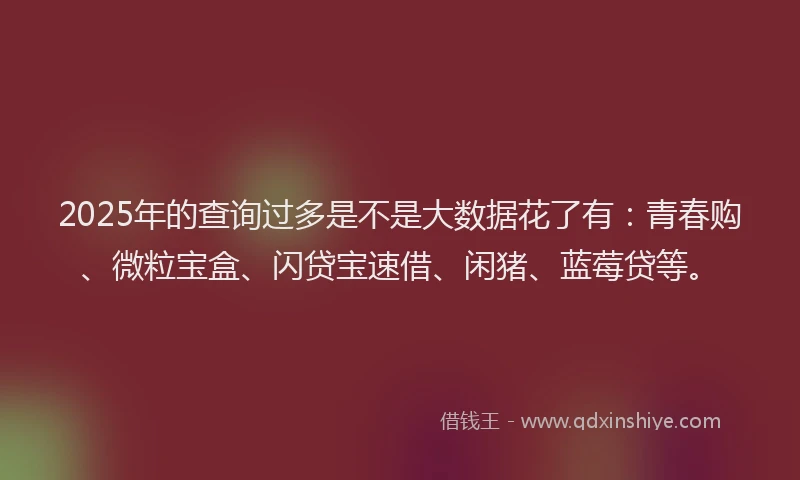 2025年的查询过多是不是大数据花了有：青春购、微粒宝盒、闪贷宝速借、闲猪、蓝莓贷等。