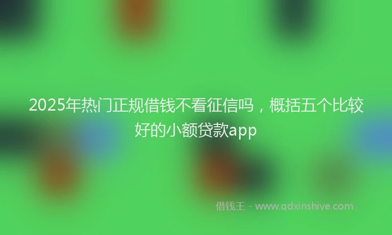 2025年热门正规借钱不看征信吗，概括五个比较好的小额贷款app