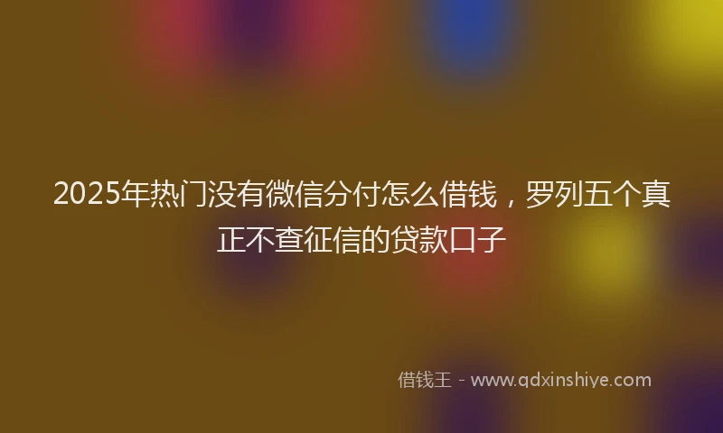 2025年热门没有微信分付怎么借钱,罗列五个真正不查征信的贷款口子