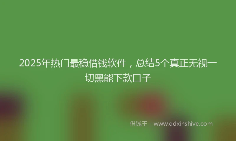 2025年热门最稳借钱软件,总结5个真正无视一切黑能下款口子