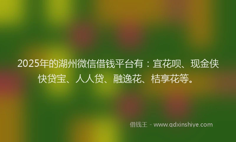 2025年的湖州微信借钱平台有：宜花呗、现金侠快贷宝、人人贷、融逸花、桔享花等。