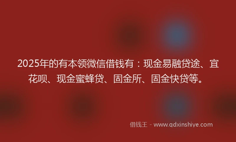 2025年的有本领微信借钱有:现金易融贷途、宜花呗、现金蜜蜂贷、固金所、固金快贷等。