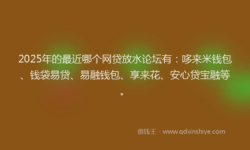 2025年的最近哪个网贷放水论坛有：哆来米钱包、钱袋易贷、易融钱包、享来花、安心贷宝融等。