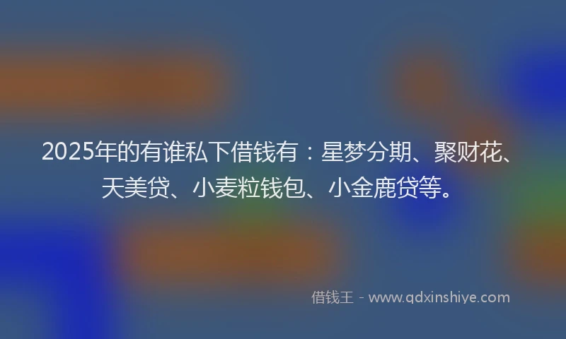 2025年的有谁私下借钱有:星梦分期、聚财花、天美贷、小麦粒钱包、小金鹿贷等。