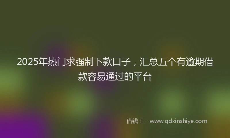 2025年热门求强制下款口子，汇总五个有逾期借款容易通过的平台