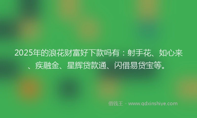 2025年的浪花财富好下款吗有：射手花、如心来、疾融金、星辉贷款通、闪借易贷宝等。