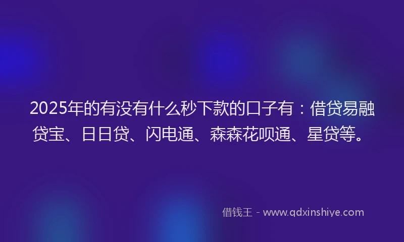 2025年的有没有什么秒下款的口子有:借贷易融贷宝、日日贷、闪电通、森森花呗通、星贷等。