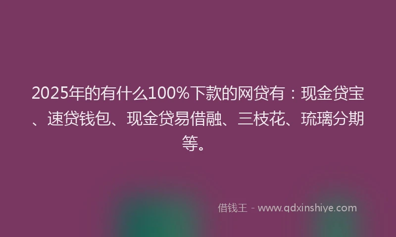 2025年的有什么100%下款的网贷有：现金贷宝、速贷钱包、现金贷易借融、三枝花、琉璃分期等。