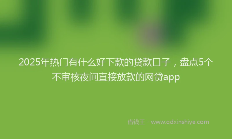 2025年热门有什么好下款的贷款口子，盘点5个不审核夜间直接放款的网贷app