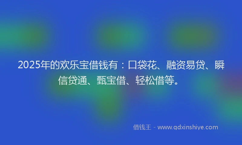 2025年的欢乐宝借钱有：口袋花、融资易贷、瞬信贷通、甄宝借、轻松借等。