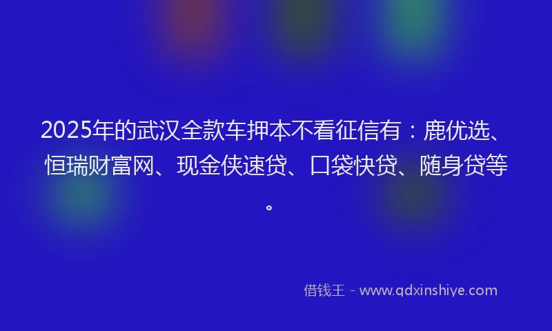 2025年的武汉全款车押本不看征信有：鹿优选、恒瑞财富网、现金侠速贷、口袋快贷、随身贷等。