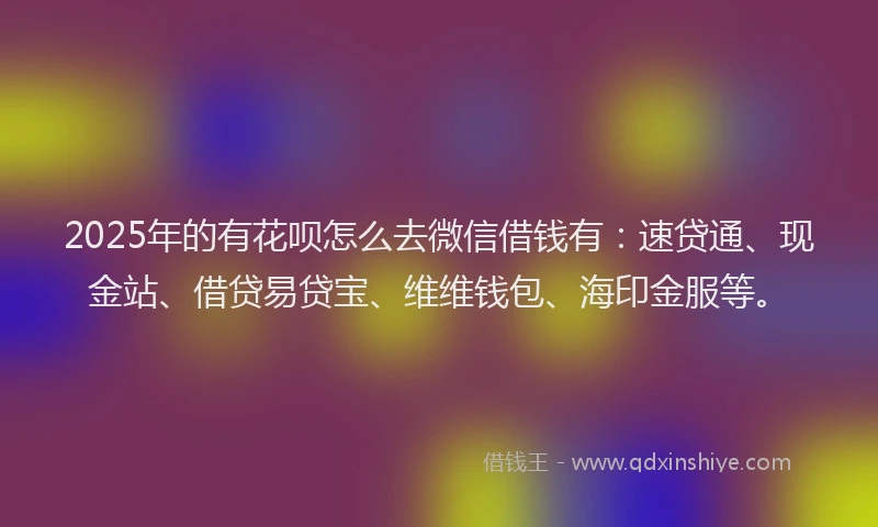 2025年的有花呗怎么去微信借钱有：速贷通、现金站、借贷易贷宝、维维钱包、海印金服等。
