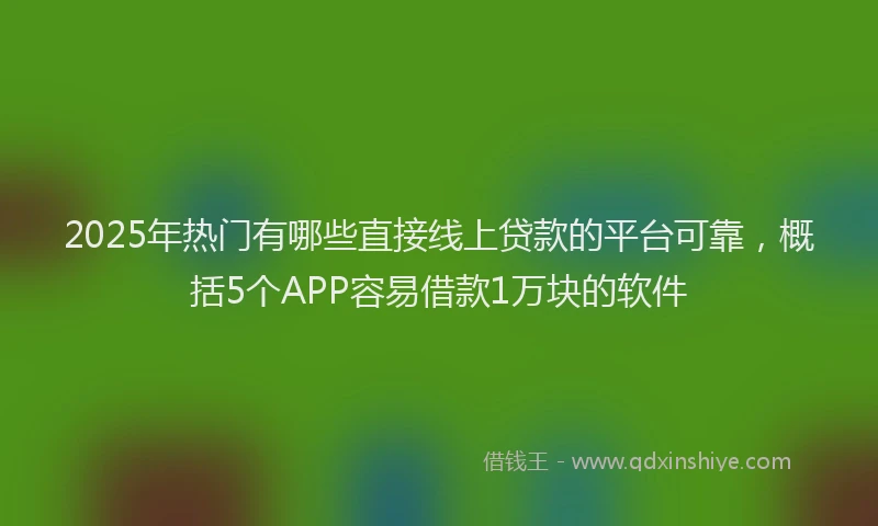 2025年热门有哪些直接线上贷款的平台可靠，概括5个APP容易借款1万块的软件