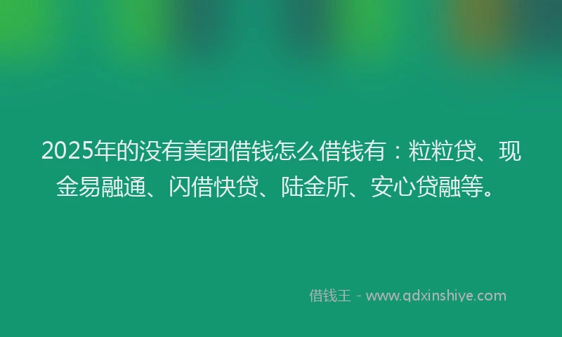 2025年的没有美团借钱怎么借钱有：粒粒贷、现金易融通、闪借快贷、陆金所、安心贷融等。